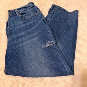 Wild Fable Classic Blue Denim Jeans